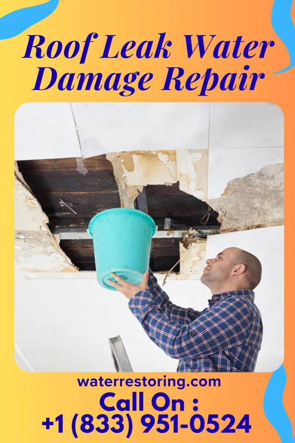 Roof Leak Water Damage Repair in Hope, ND